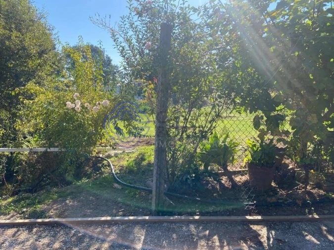 Terreno para Venda em Escapães Foto 21