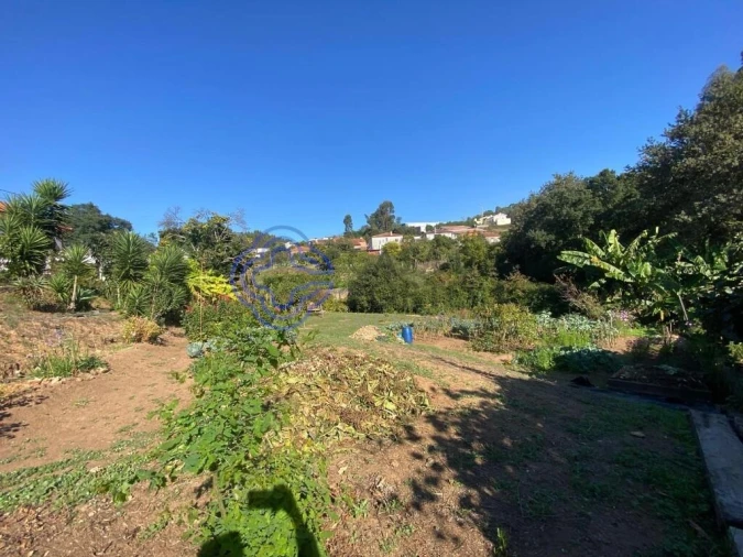 Terreno para Venda em Escapães Foto 18