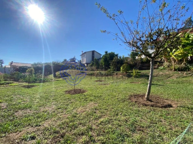 Terreno para Venda em Escapães Foto 4