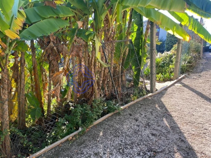 Terreno para Venda em Escapães Foto 20