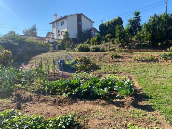 Terreno para Venda em Escapães Foto 11