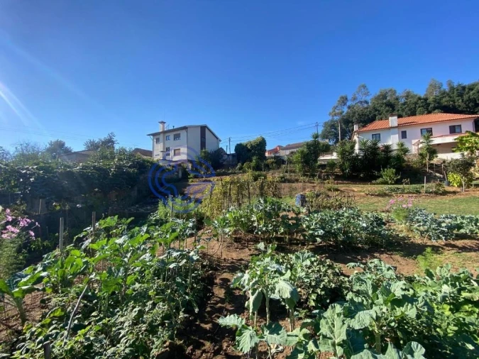 Terreno para Venda em Escapães Foto 9