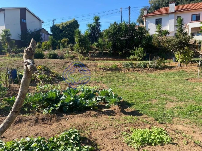 Terreno para Venda em Escapães Foto 7