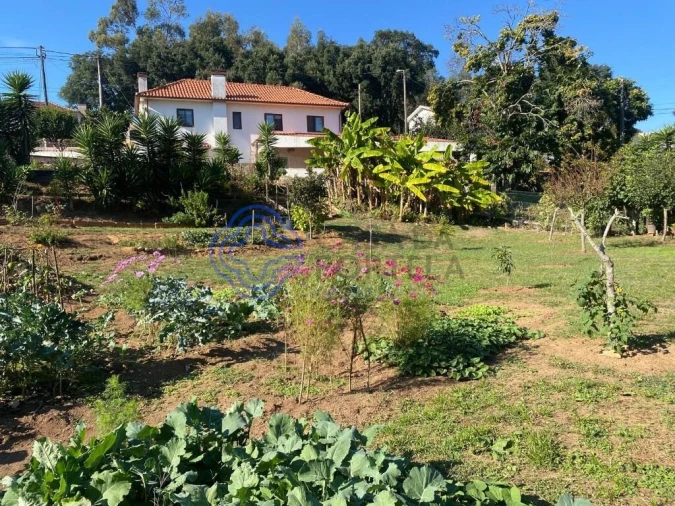Terreno para Venda em Escapães Foto 8