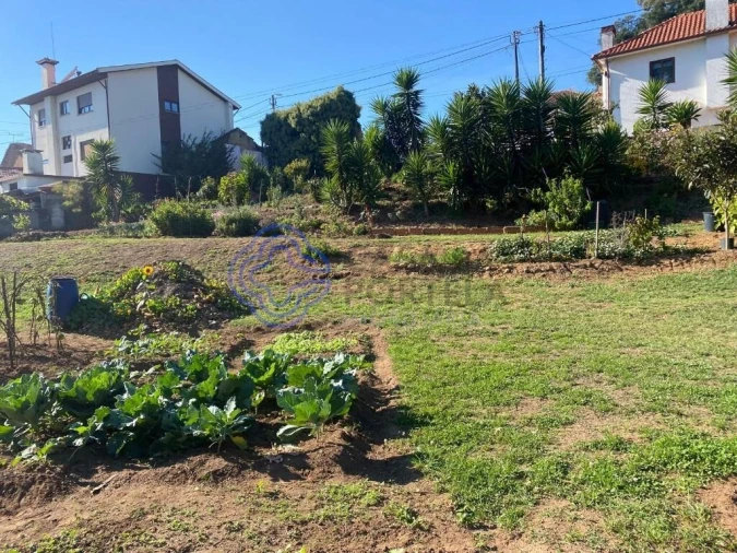 Terreno para Venda em Escapães Foto 14
