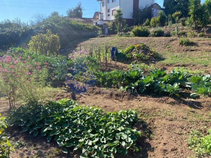 Terreno para Venda em Escapães Foto 16