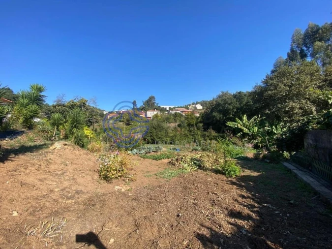 Terreno para Venda em Escapães Foto 17