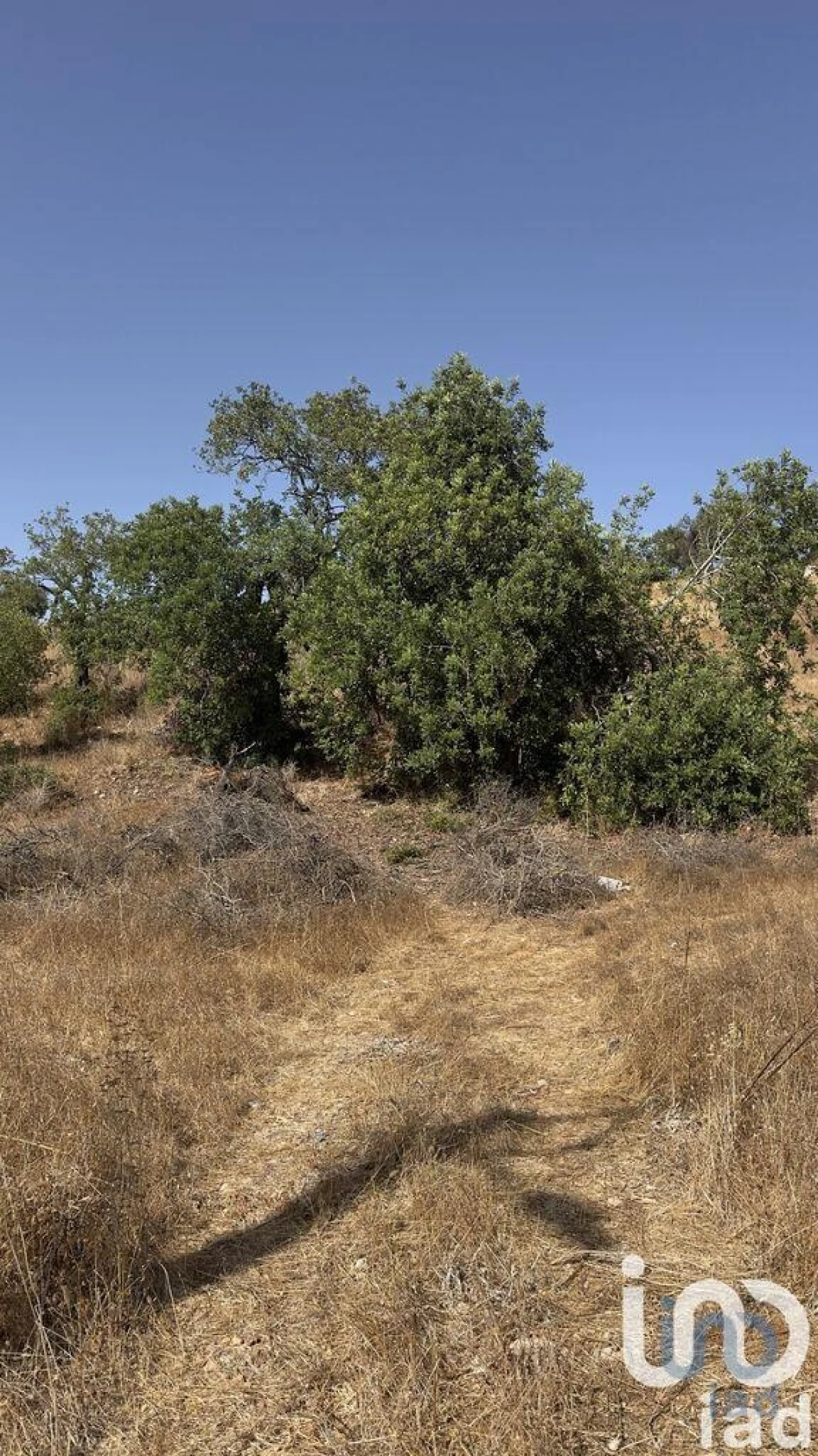 Terreno para Venda em Algoz e Tunes Foto 2