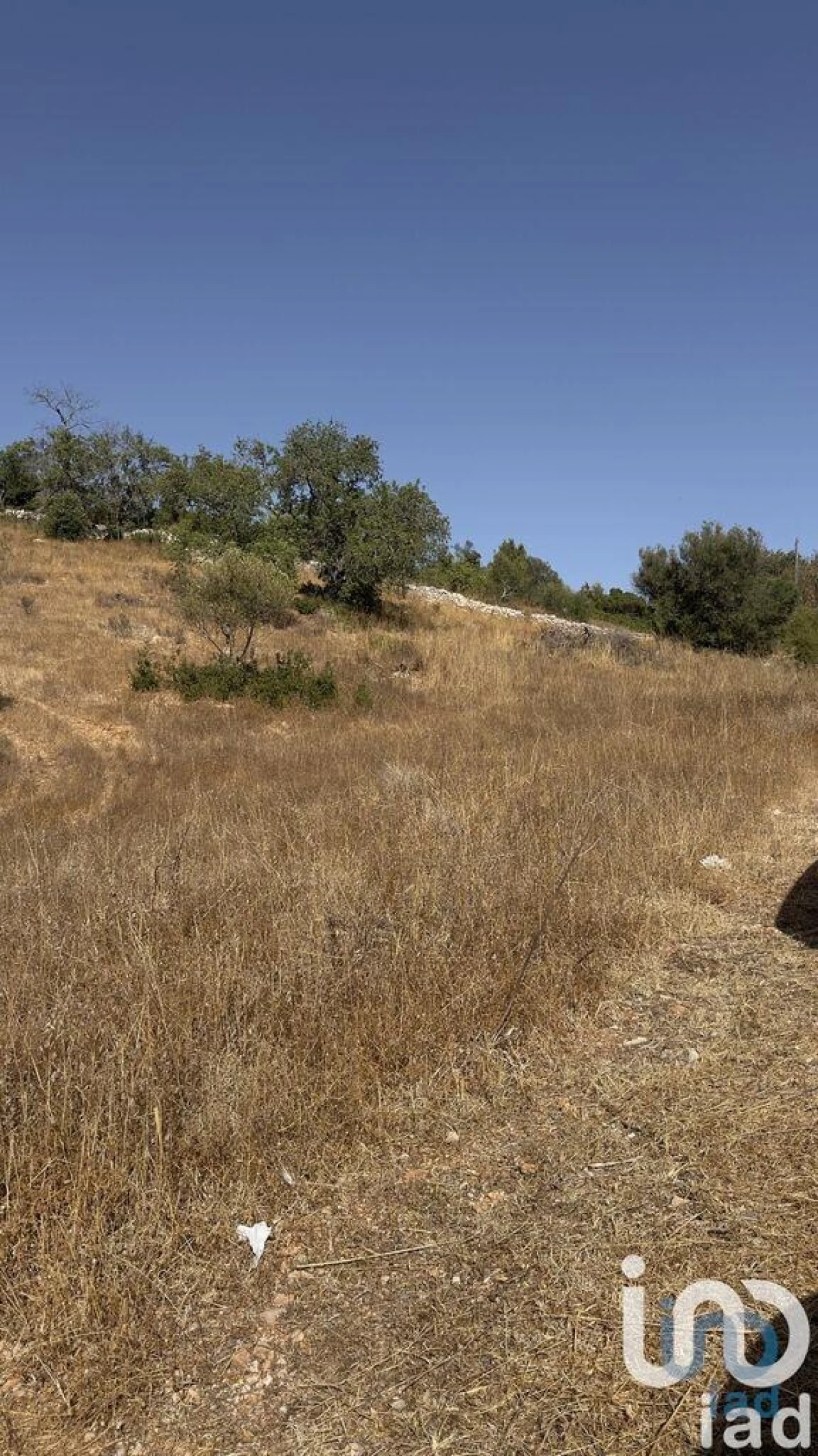 Terreno para Venda em Algoz e Tunes Foto 4