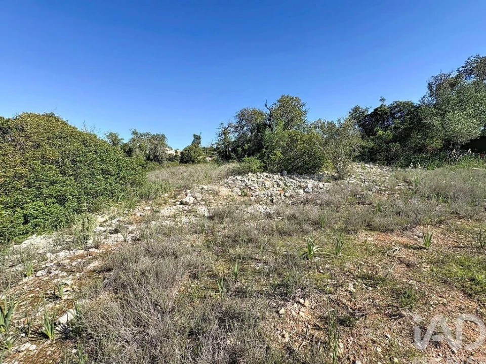 Terreno para Venda em Algoz e Tunes Foto 6