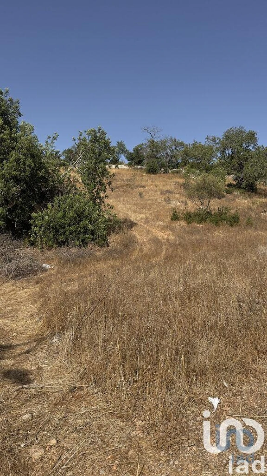 Terreno para Venda em Algoz e Tunes Foto 3