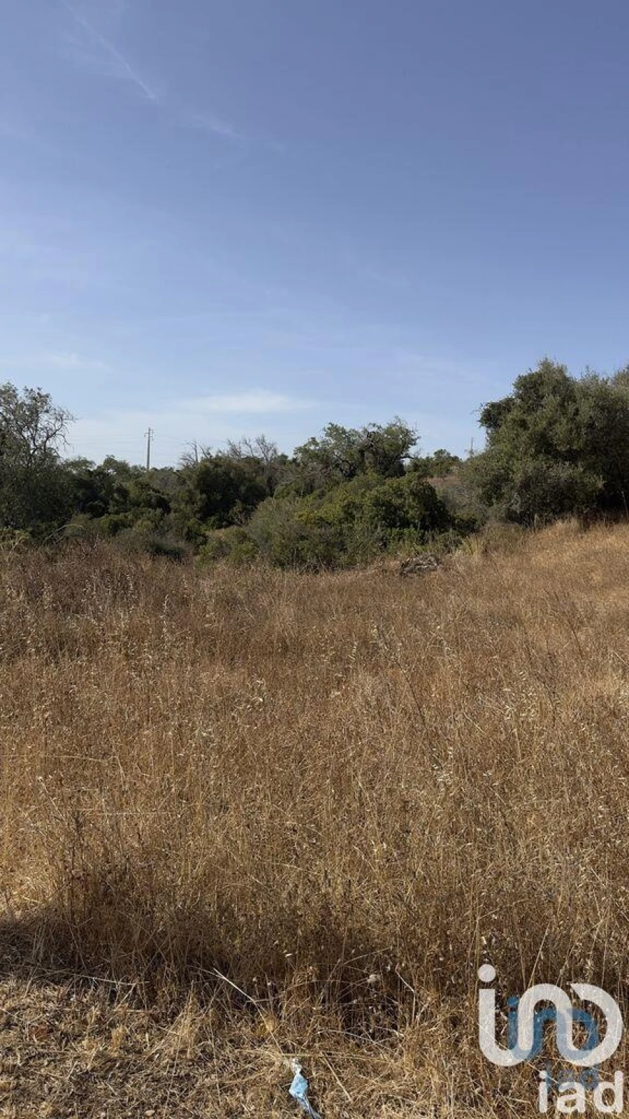 Terreno para Venda em Algoz e Tunes Foto 9