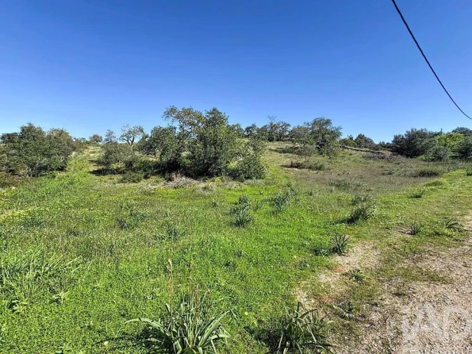 Terreno para Venda em Algoz e Tunes Foto 5