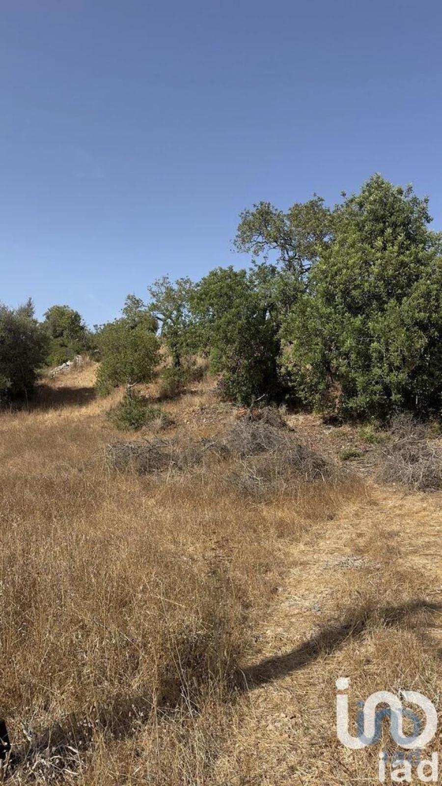 Terreno para Venda em Algoz e Tunes