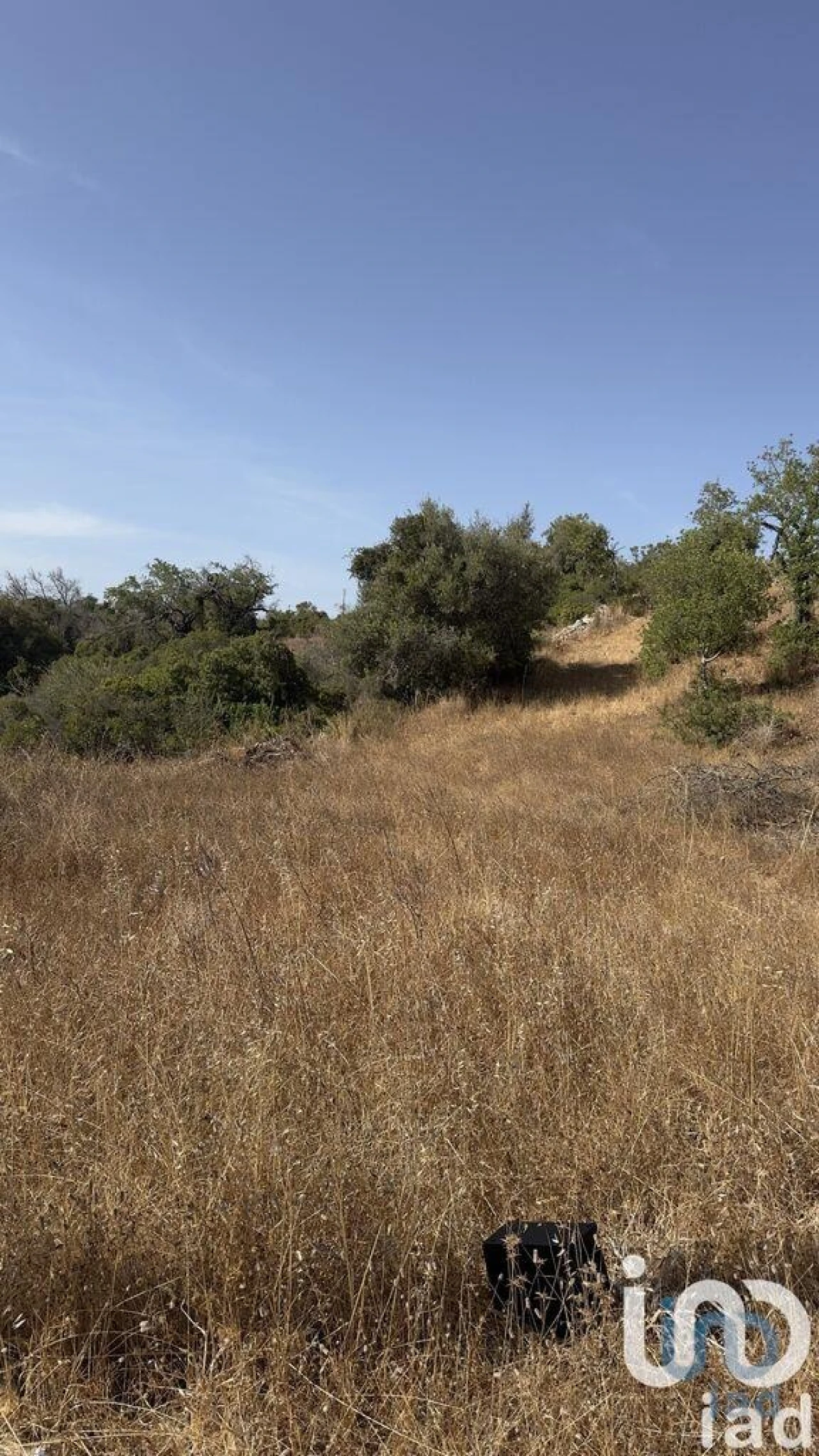 Terreno para Venda em Algoz e Tunes Foto 8