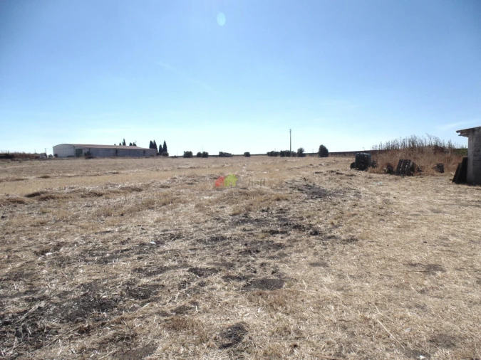 Quinta T8 para Venda em São Matias Foto 11