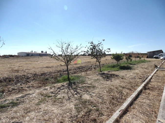 Quinta T8 para Venda em São Matias Foto 13