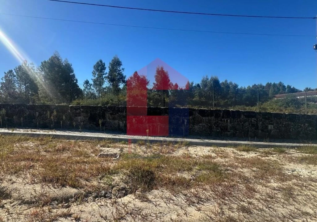 Terreno para Venda em Coucieiro Foto 11
