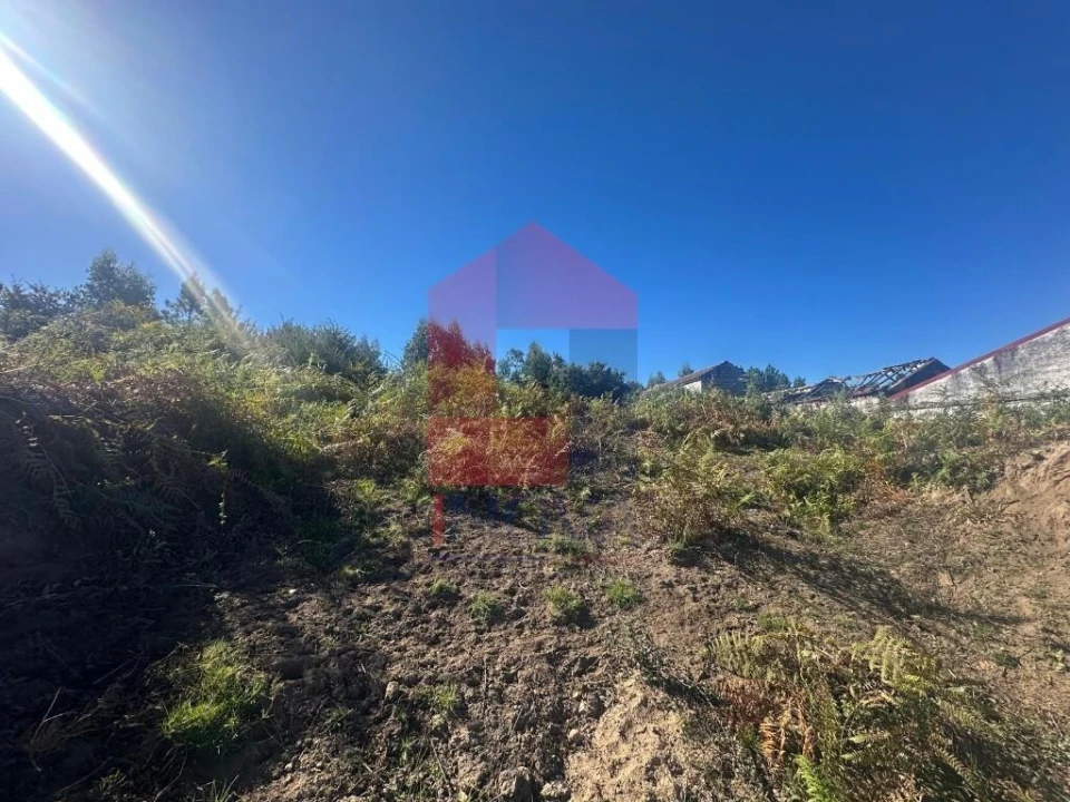 Terreno para Venda em Coucieiro Foto 8