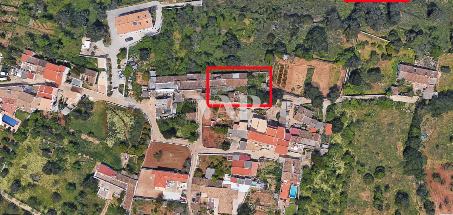 Terreno para Venda em Loule (São Sebastião) Foto 2