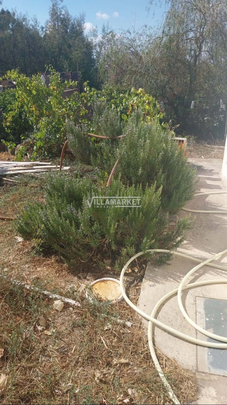 Moradia T1 para Venda em Ameixial Foto 23