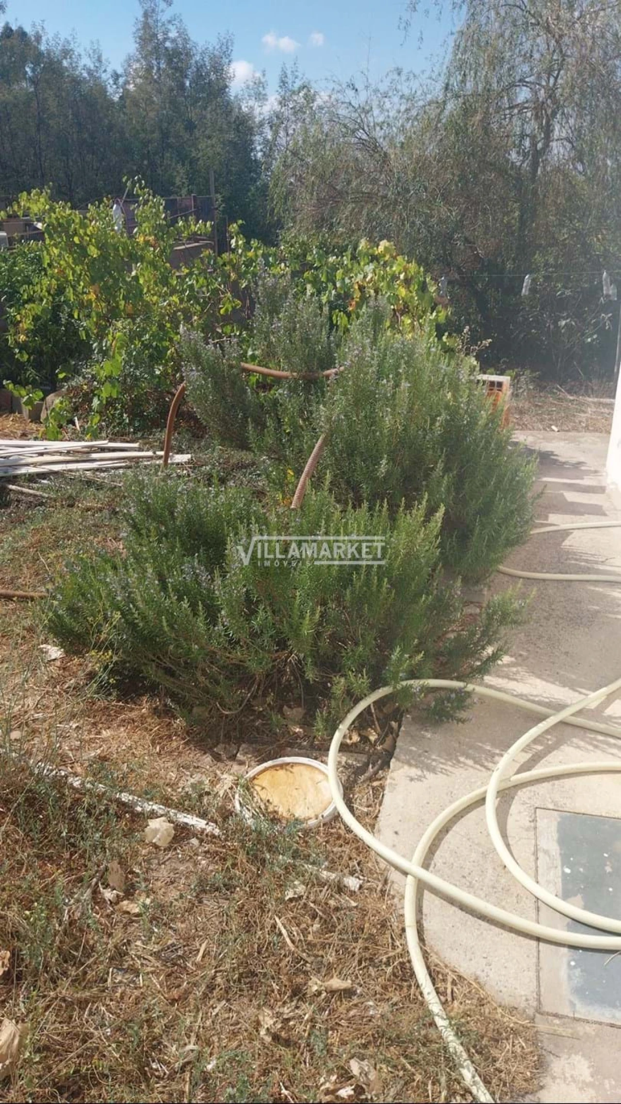 Moradia T1 para Venda em Ameixial Foto 23