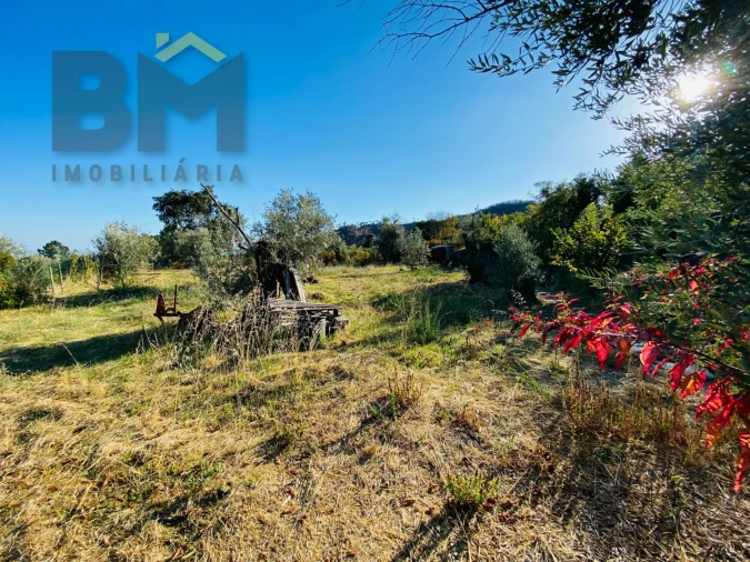 Terreno Agricola ou Rústico para Venda em São Vicente da Beira Foto 13