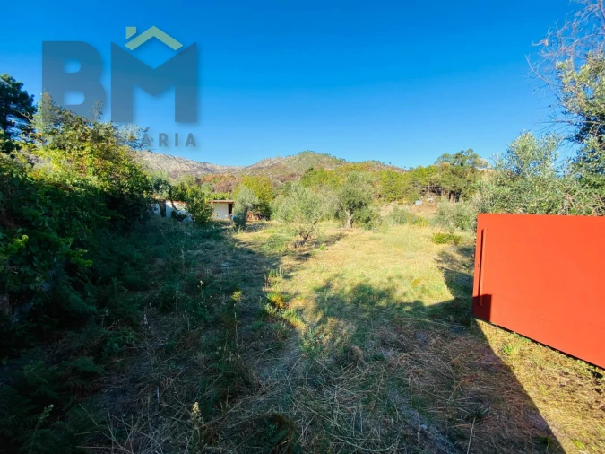Terreno Agricola ou Rústico para Venda em São Vicente da Beira Foto 15