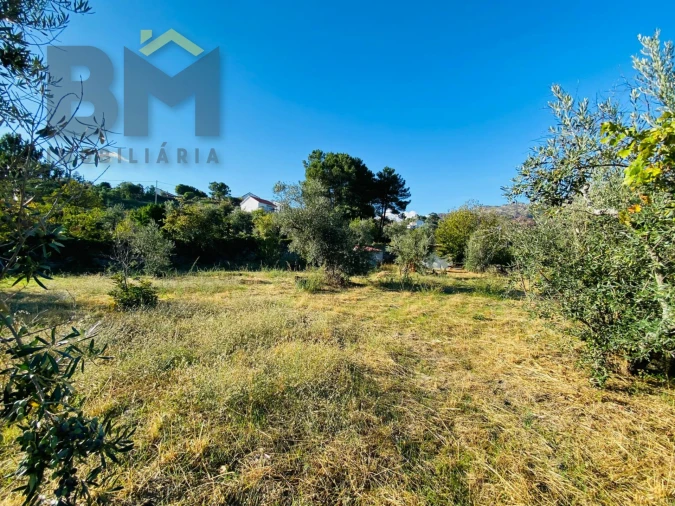Terreno Agricola ou Rústico para Venda em São Vicente da Beira Foto 12