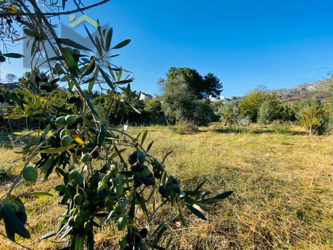 Terreno Agricola ou Rústico para Venda em São Vicente da Beira Foto 11