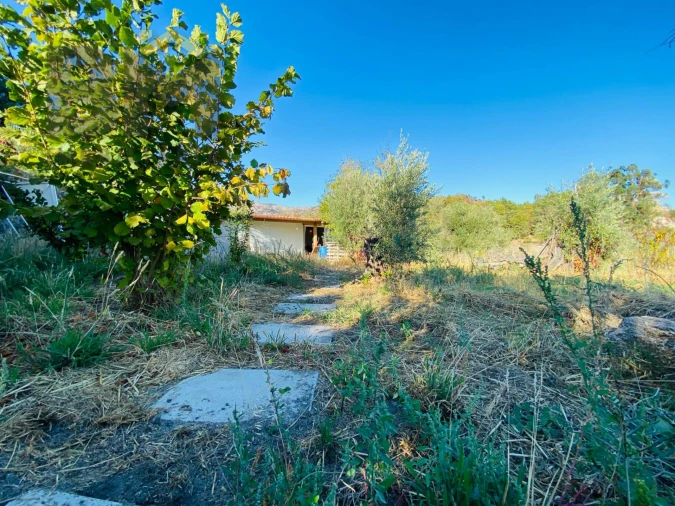 Terreno Agricola ou Rústico para Venda em São Vicente da Beira Foto 14