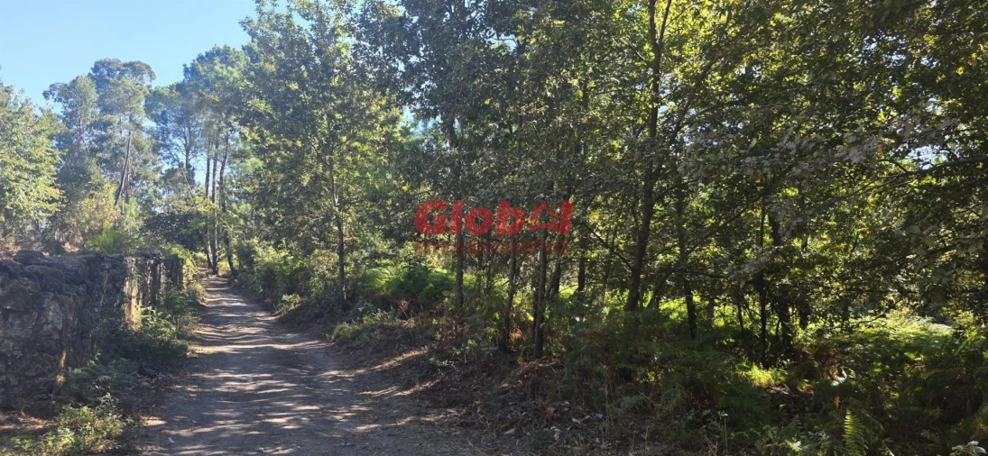 Terreno Agricola ou Rústico para Venda em Rio de Loba Foto 3
