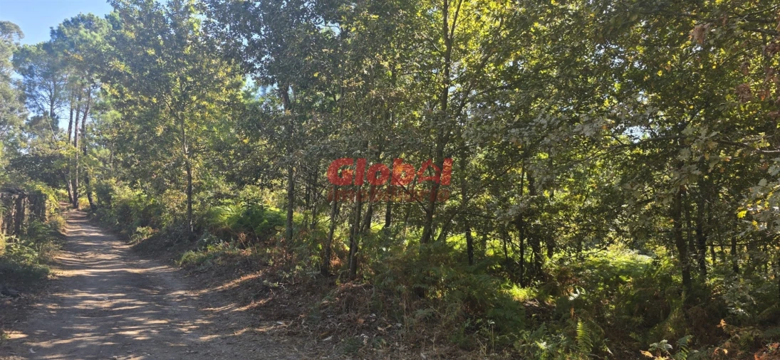 Terreno Agricola ou Rústico para Venda em Rio de Loba Foto 2