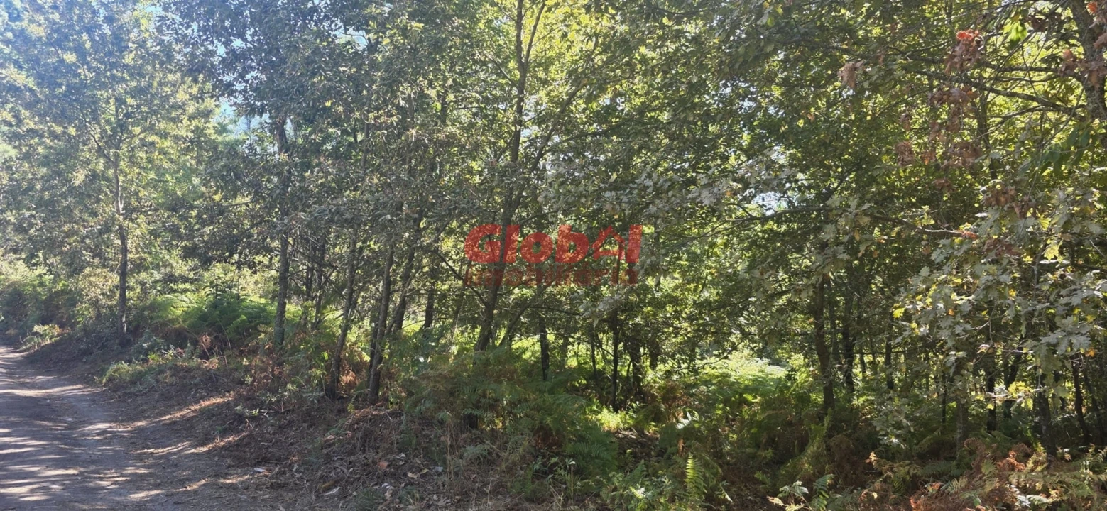 Terreno Agricola ou Rústico para Venda em Rio de Loba Foto 1