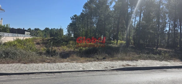 Terreno para Venda em Cavernães