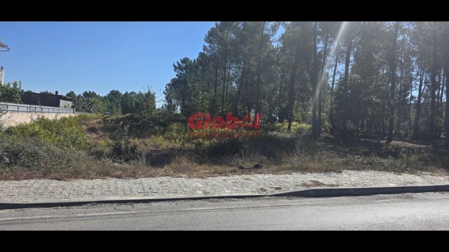 Terreno para Venda em Cavernães