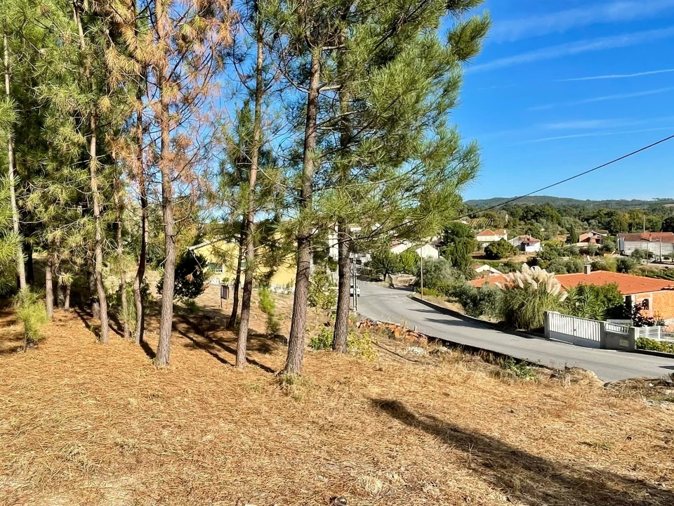 Terreno para Venda em Pindo Foto 1