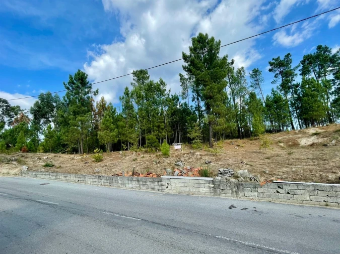 Terreno para Venda em Pindo Foto 9