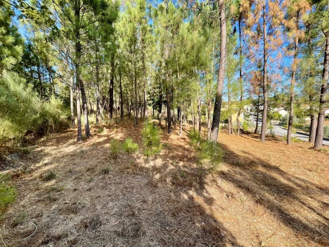Terreno para Venda em Pindo Foto 4