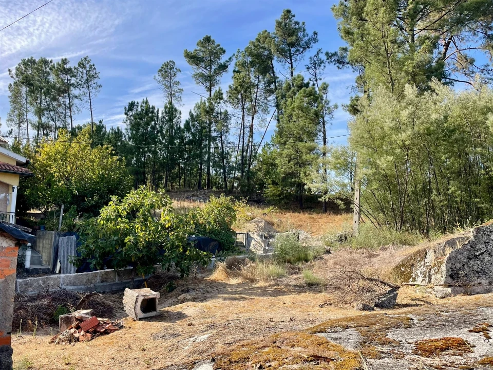 Terreno para Venda em Pindo Foto 3