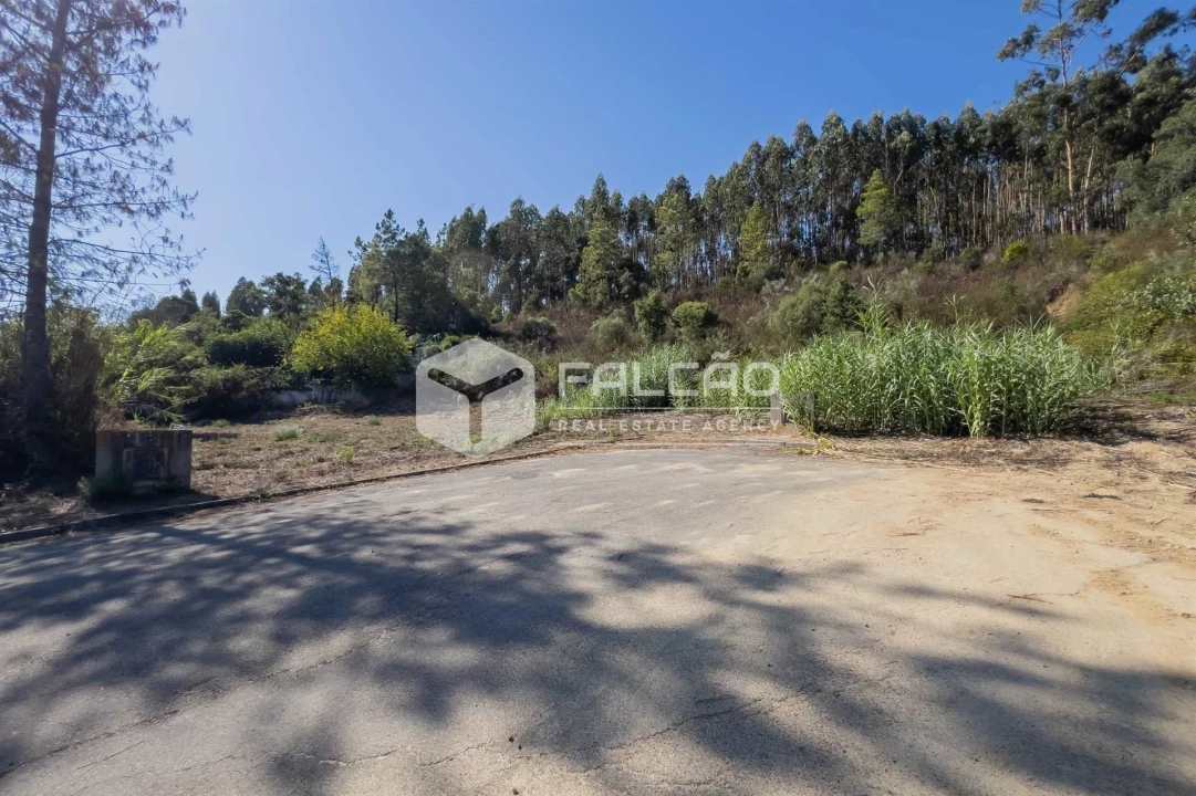 Terreno para Venda em Marvila, Ribeira Santarém, São Salvador, São Nicolau Foto 14