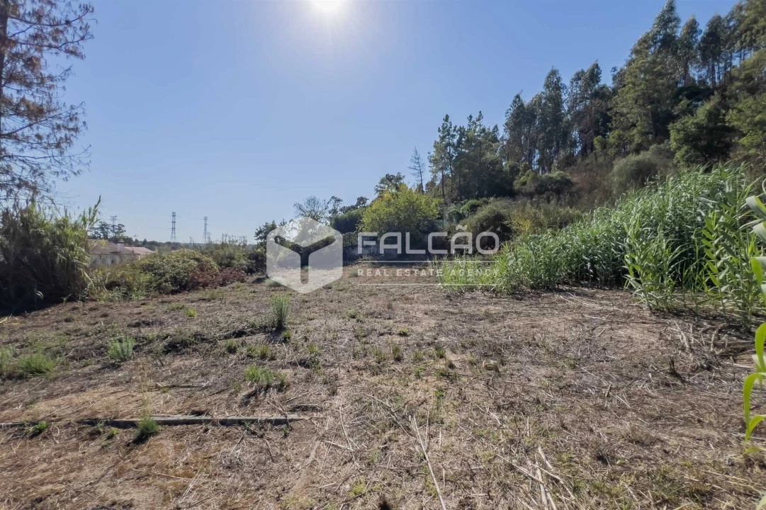 Terreno para Venda em Marvila, Ribeira Santarém, São Salvador, São Nicolau Foto 19