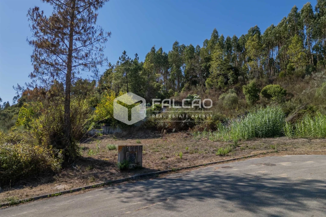 Terreno para Venda em Marvila, Ribeira Santarém, São Salvador, São Nicolau Foto 9