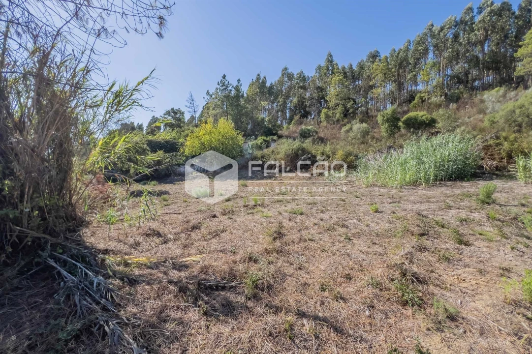 Terreno para Venda em Marvila, Ribeira Santarém, São Salvador, São Nicolau Foto 17
