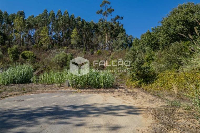 Terreno para Venda em Marvila, Ribeira Santarém, São Salvador, São Nicolau Foto 27
