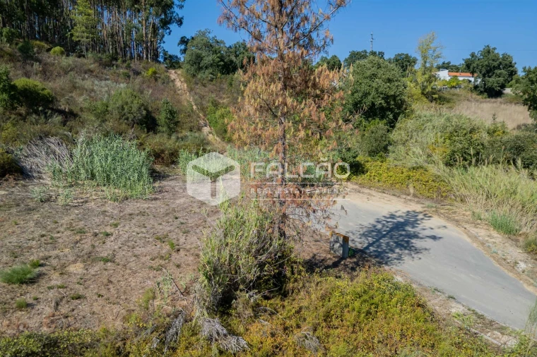 Terreno para Venda em Marvila, Ribeira Santarém, São Salvador, São Nicolau Foto 37