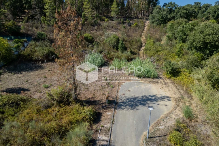 Terreno para Venda em Marvila, Ribeira Santarém, São Salvador, São Nicolau Foto 7