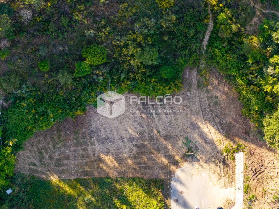 Terreno para Venda em Marvila, Ribeira Santarém, São Salvador, São Nicolau Foto 10