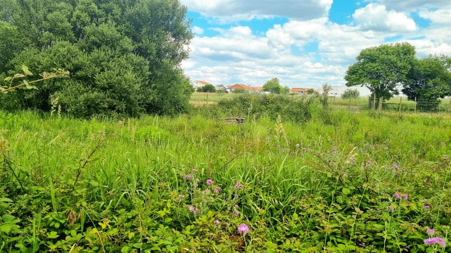 Terreno para Venda em Paião Foto 17