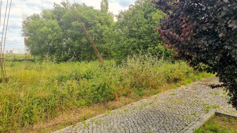 Terreno para Venda em Paião Foto 14